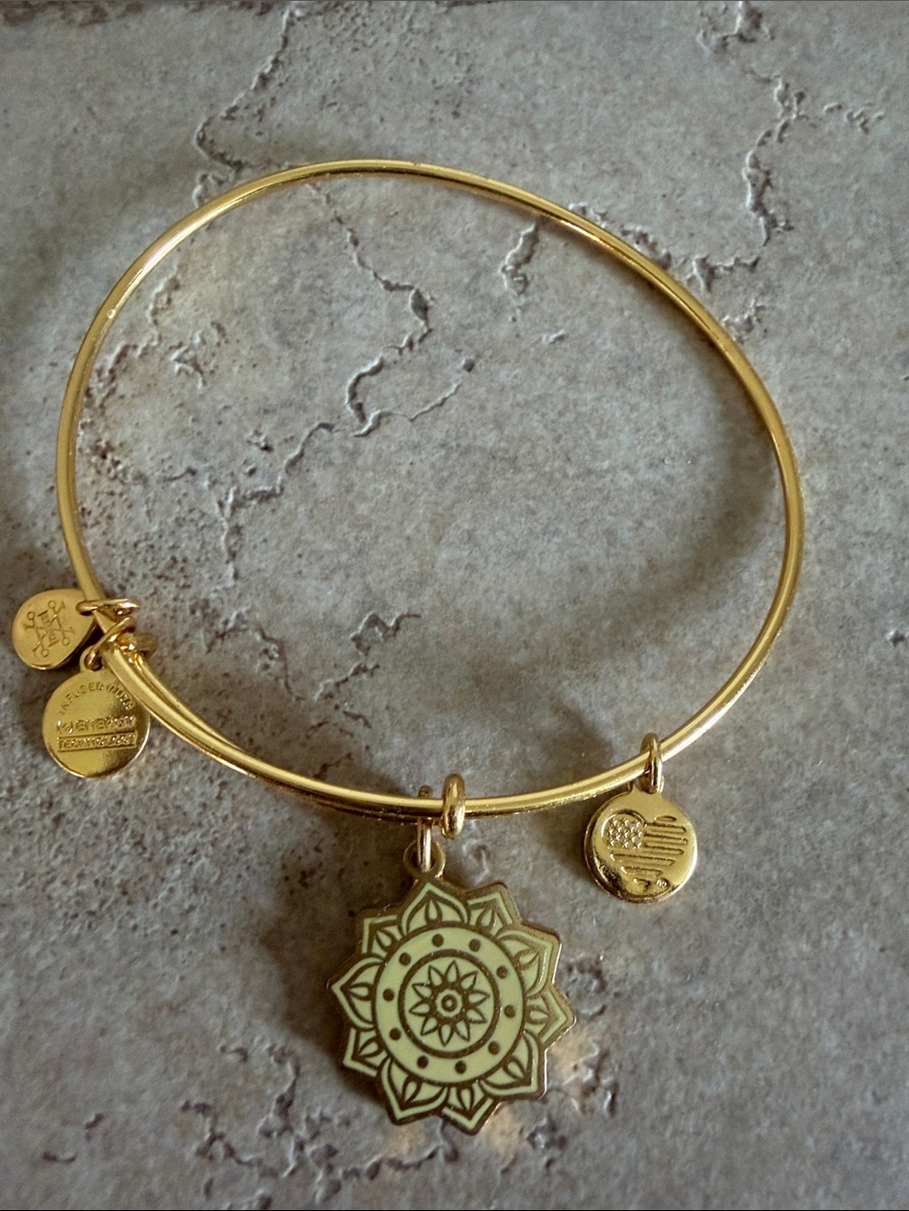 Alex and Ani Shiny Gold Chakra Bangle Bracelet
